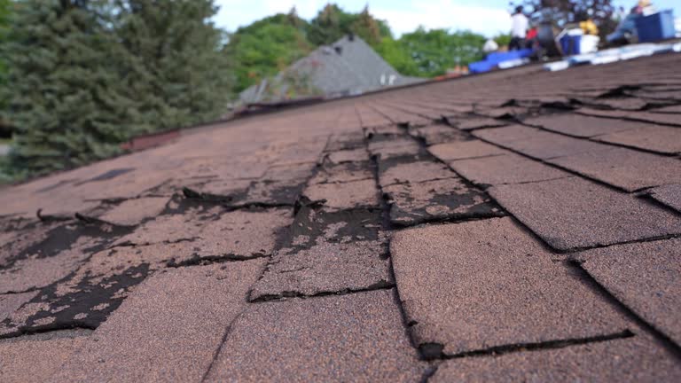 Steel Roofing in Lathrop, CA